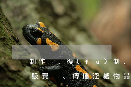 制作、復(fù)制、出版、販賣、傳播淫穢物品牟利罪立案標準_2021制作、復(fù)制、出版、販賣、傳播淫穢物品牟利